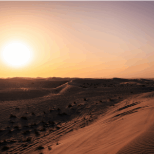 Desert Sun